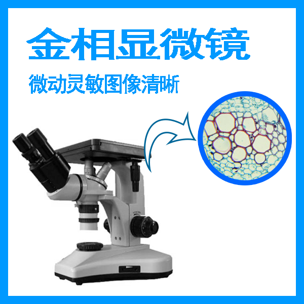 金相显微镜选哪家